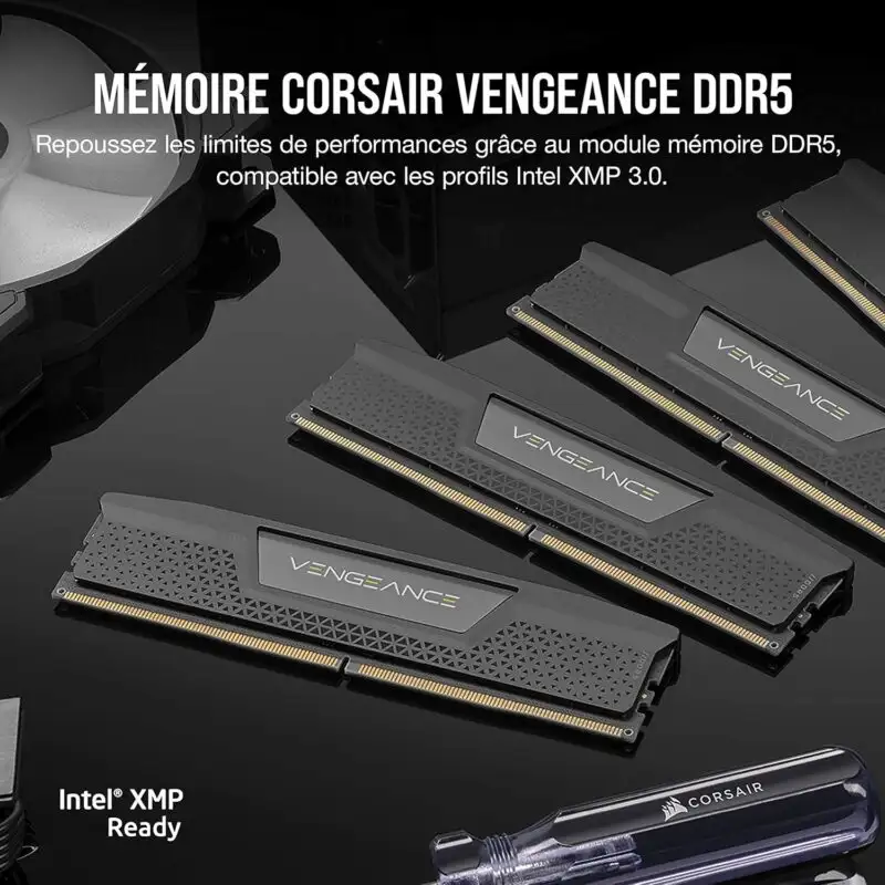 DDR5  RAM 16Go