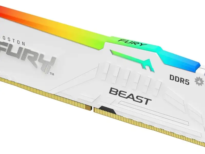RGB 32Go 5600